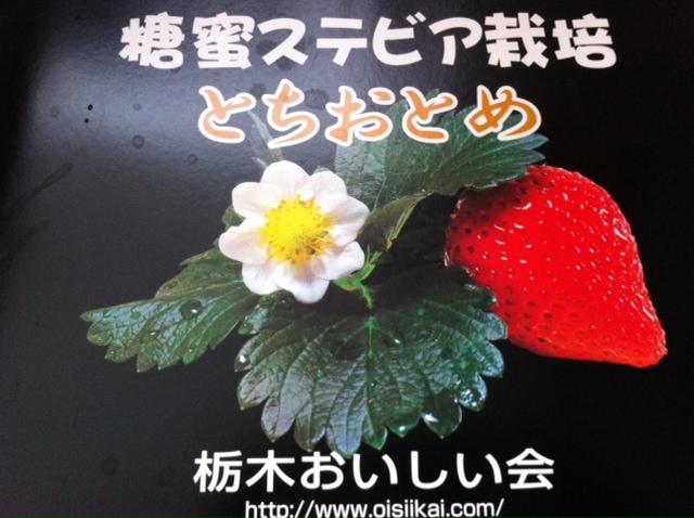 番組で紹介した「とちおとめ」