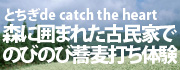 ̤�襯���