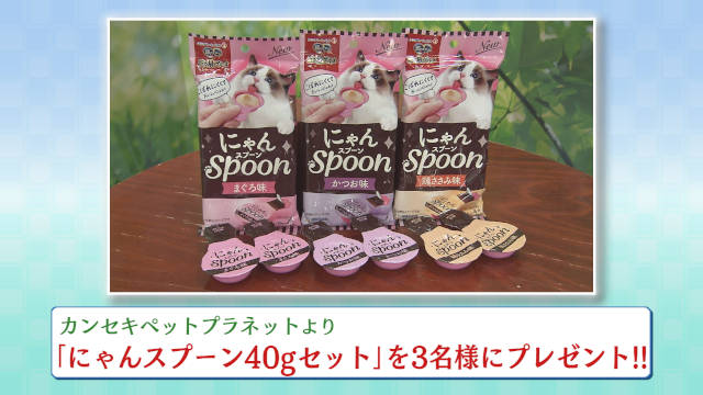 カンセキペットプラネットより フレシャス 成犬用 チキン ビーフ プレゼントのお知らせ 応募フォーム とちテレ カンセキペットプラネットより フレシャス 成犬用 チキン ビーフ プレゼントのお知らせ 応募フォーム とちテレ