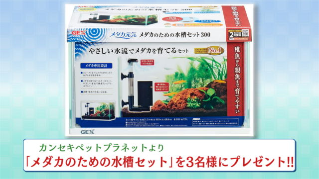 公式 とちぎテレビ