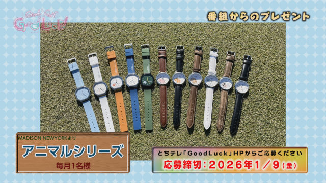 Good Luck!視聴者プレゼント MADISON NEWYORKよりアニマルシリーズを1名様