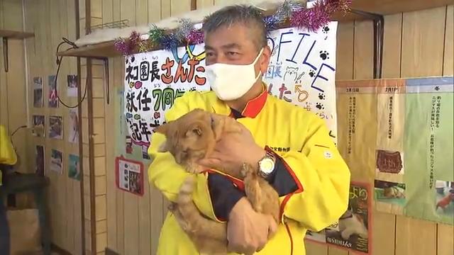 公式 とちぎテレビ 公式 とちぎテレビ