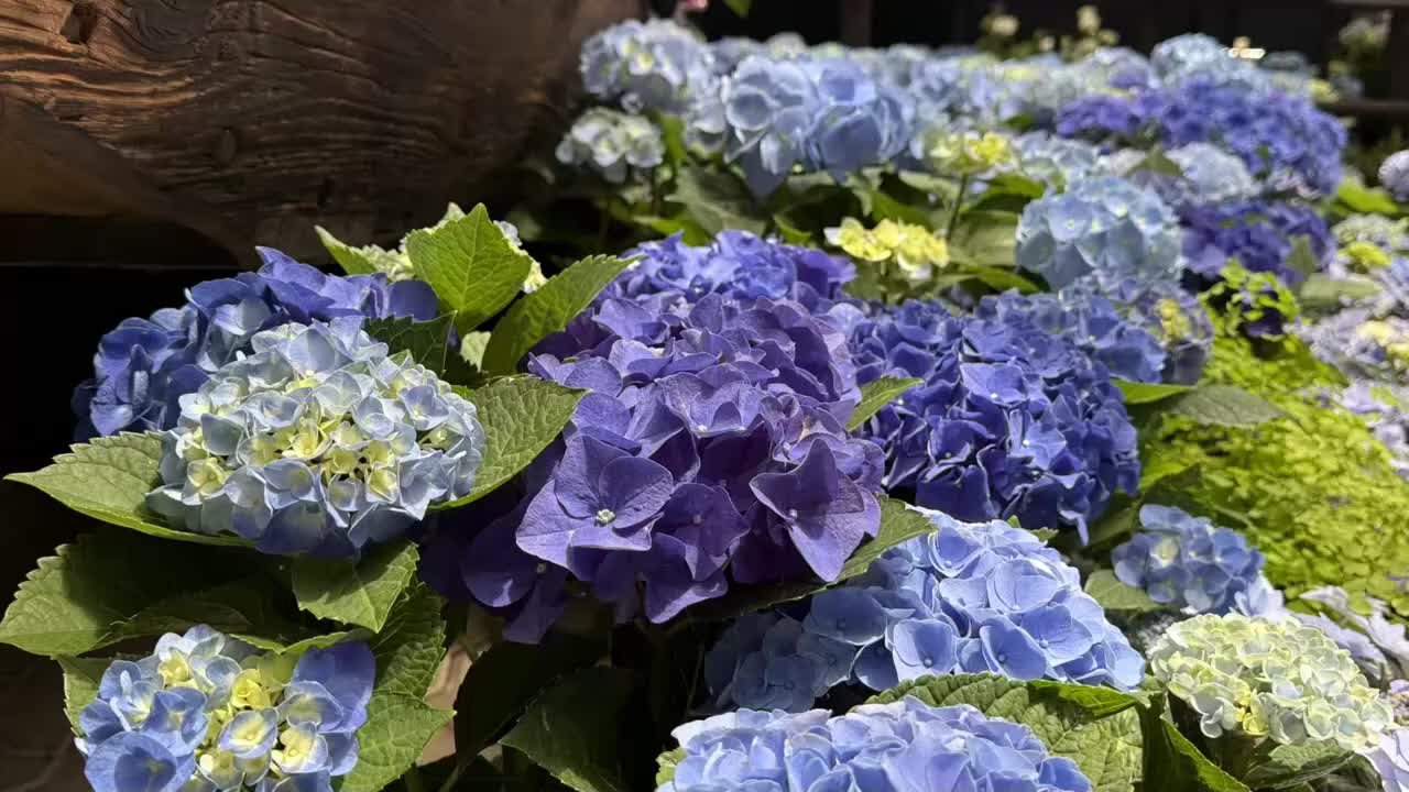 ����1