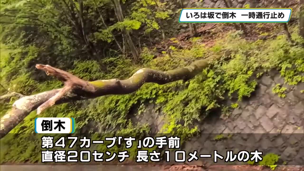 ����1