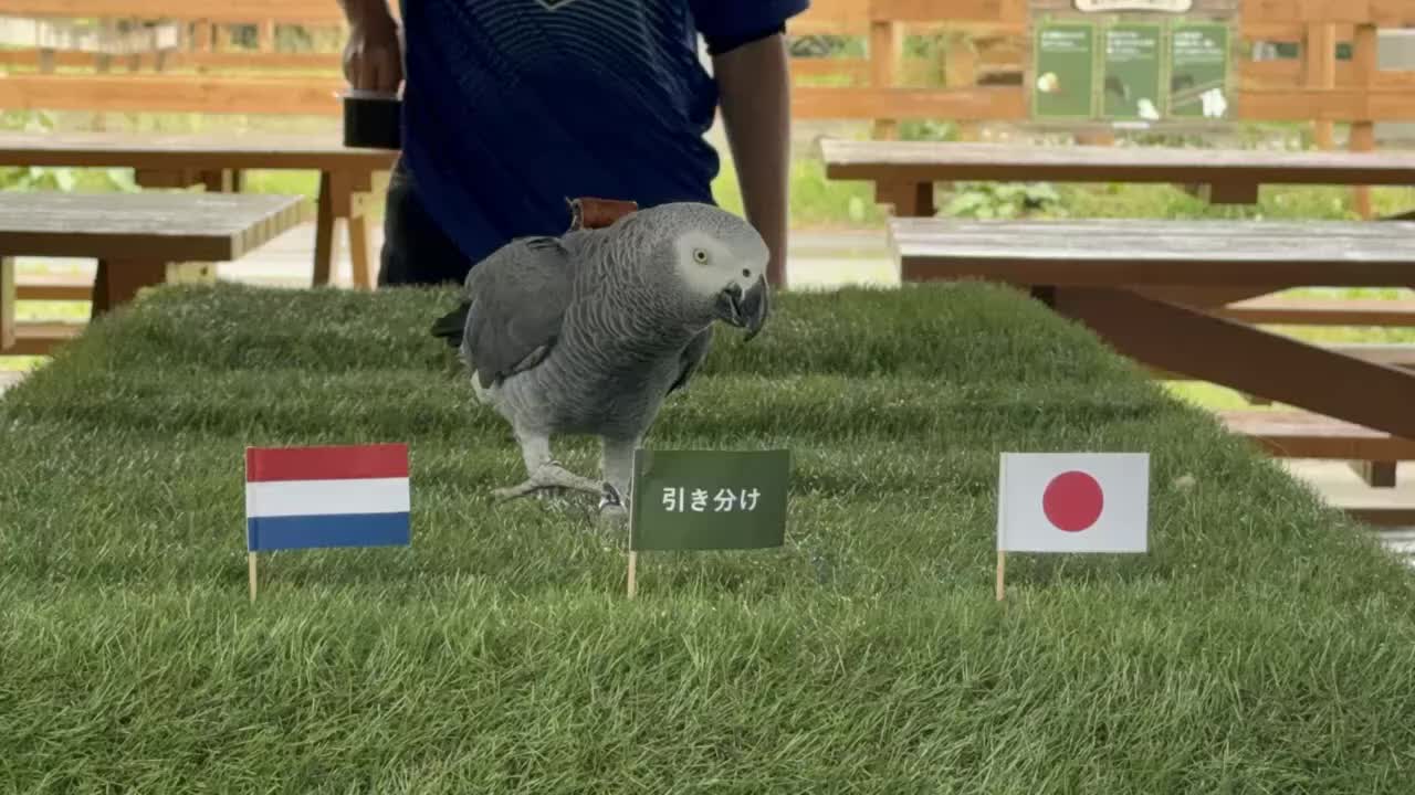 ����1
