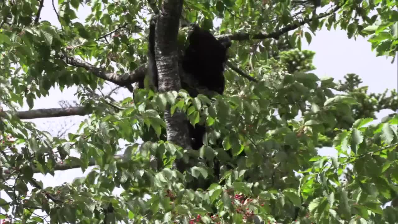 ����1