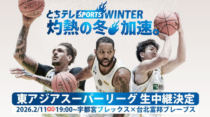 ���Եܥ֥�å������쥢���������ѡ��꡼�����