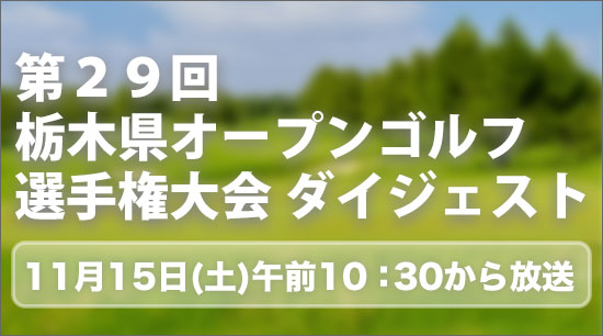 29ڸץ󥴥긢