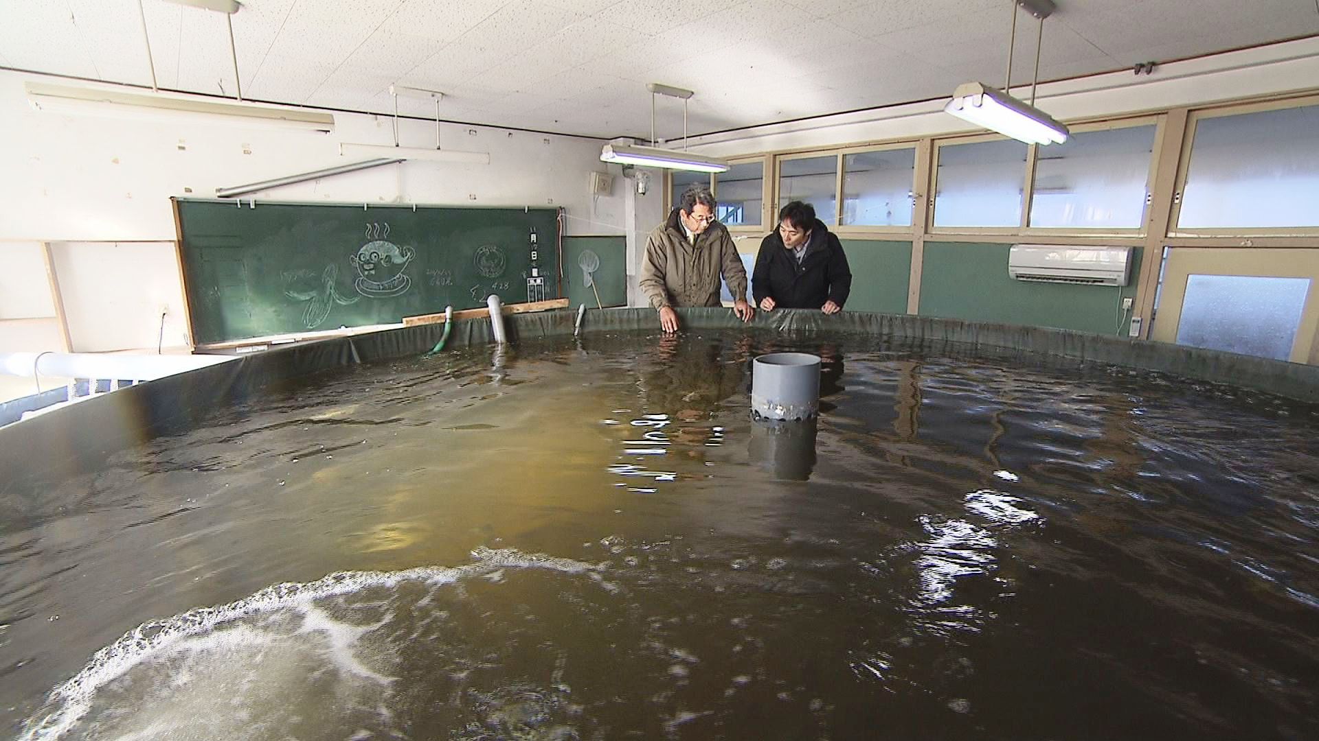 １月３０日放送 ３７ 海なしとちぎの新名物 お知らせ イベント情報 とちぎテレビ