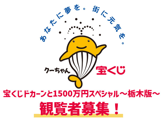ɥ1500ߥڥǡ罸