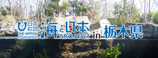 海と日本プロジェクト in 栃木県