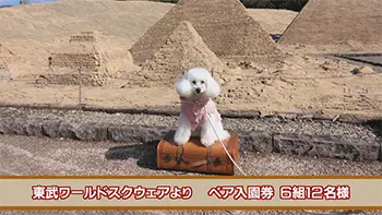 東武ワールドスクウェア